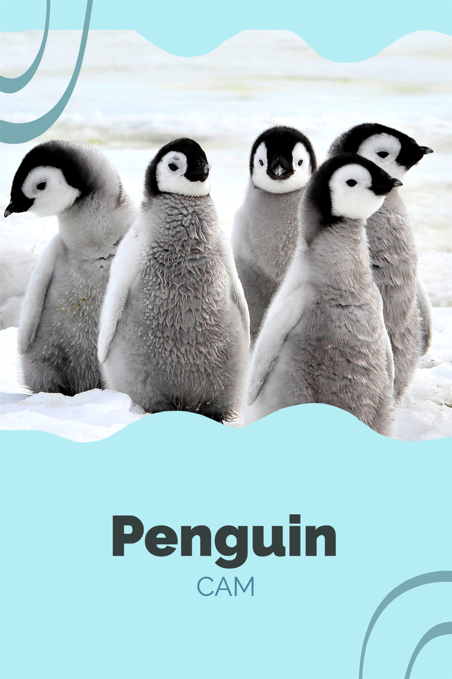 Penguin